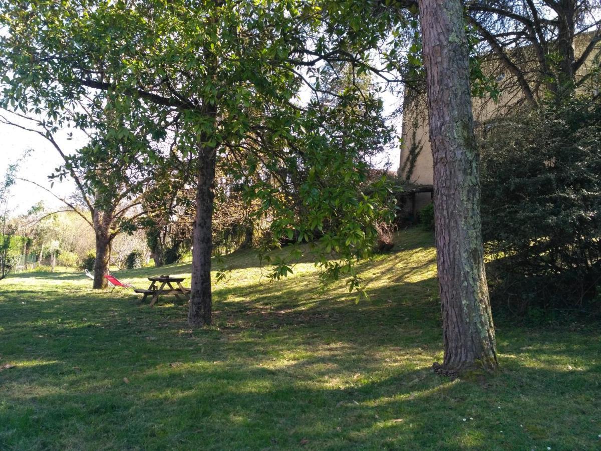 Bienvenue ! Apartment Moissac Bagian luar foto